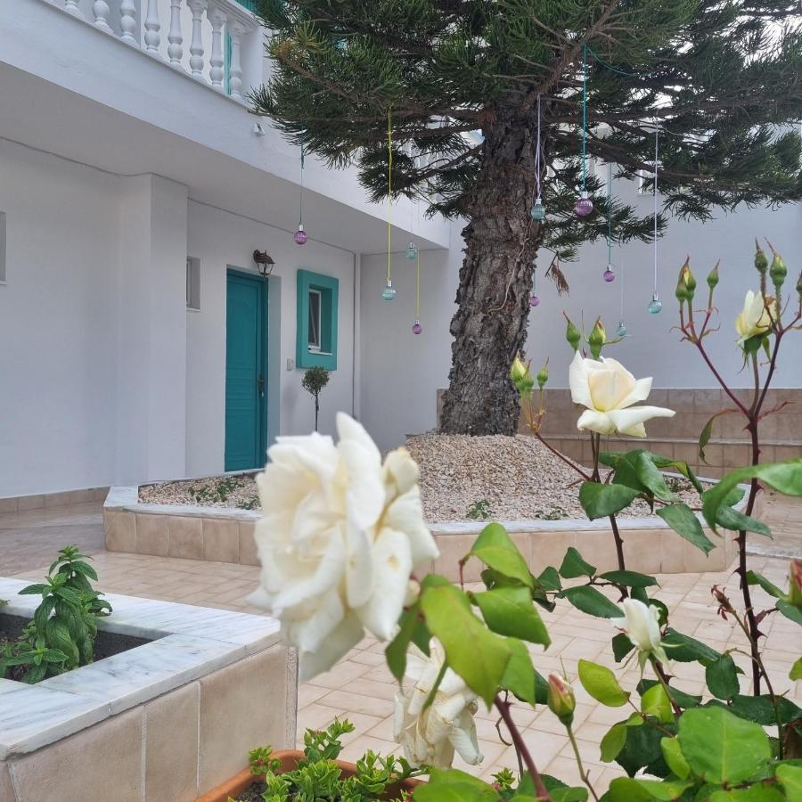 Arocaria - Faliraki Peaceful Apartments Extérieur photo