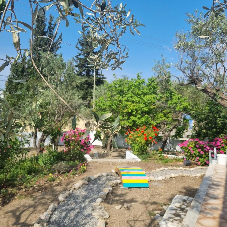 Arocaria - Faliraki Peaceful Apartments Extérieur photo