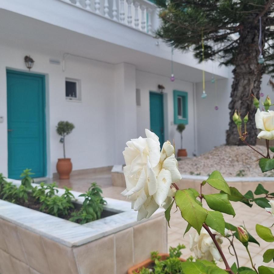 Arocaria - Faliraki Peaceful Apartments Extérieur photo